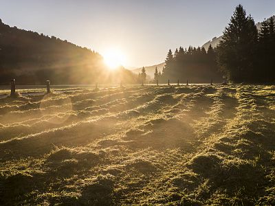 Es muss nicht immer nur Winter sein