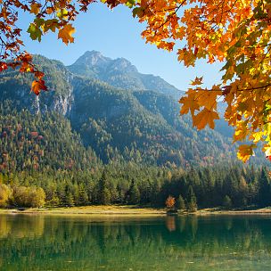 Sounds of autumn at Pillersee