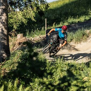 Harschbichl trails