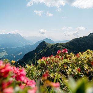 WIR.Mein Job im PillerseeTal