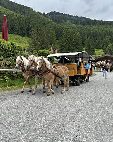 Wildschönau