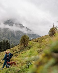 KAT-Walk-Brixental-Kitzbüheler-Alpen