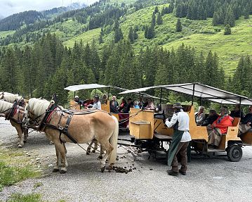 Wildschönau