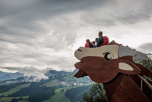 Aussicht von einer Ziege aus