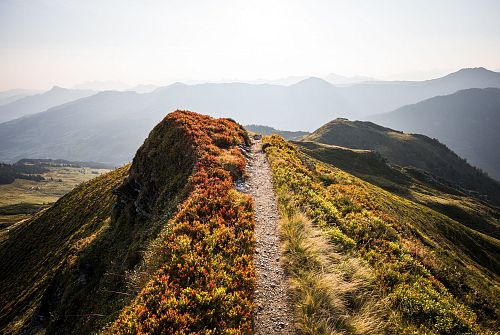 Brechhorn (c) TVB Kitzbüheler Alpen-Brixental, Fotograf Mathäus Gartner (19)