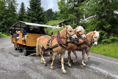 Wildschönau