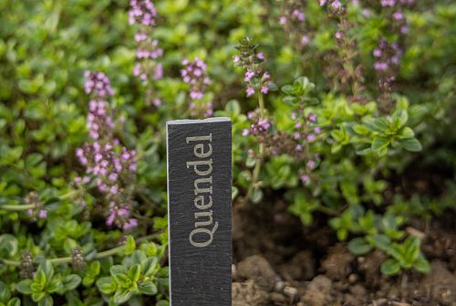 Glückskräutergarten • Region St. Johann in Tirol