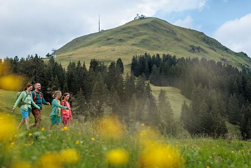 Hohe Salve stets im Blick