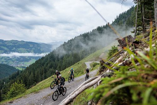 Kitzbüheler-Alpen-KAT-Bike-Regionen-Tourismus