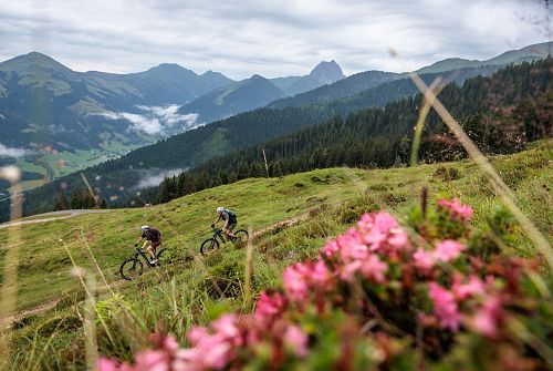 Kitzbüheler-Alpen-KAT-Bike-Regionen-Tourismus