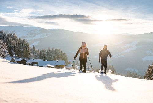 Een tocht met sneeuwschoenen