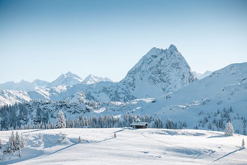 SkiWelt Wilder Kaiser - Brixental Winter 2024